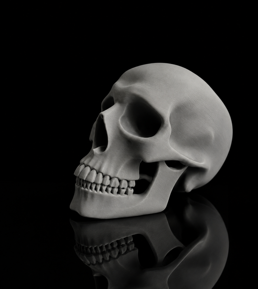 Skullx