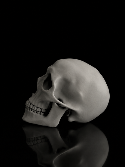 Skullx